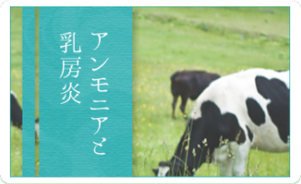 あなたも参加しませんか？