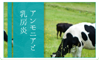 あなたも参加しませんか?